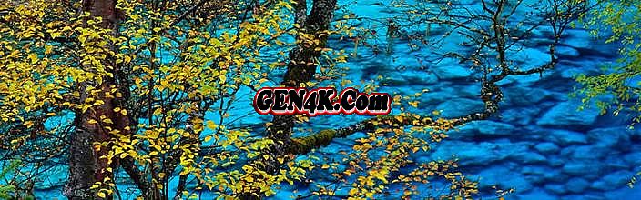 ������������׬Ǯ